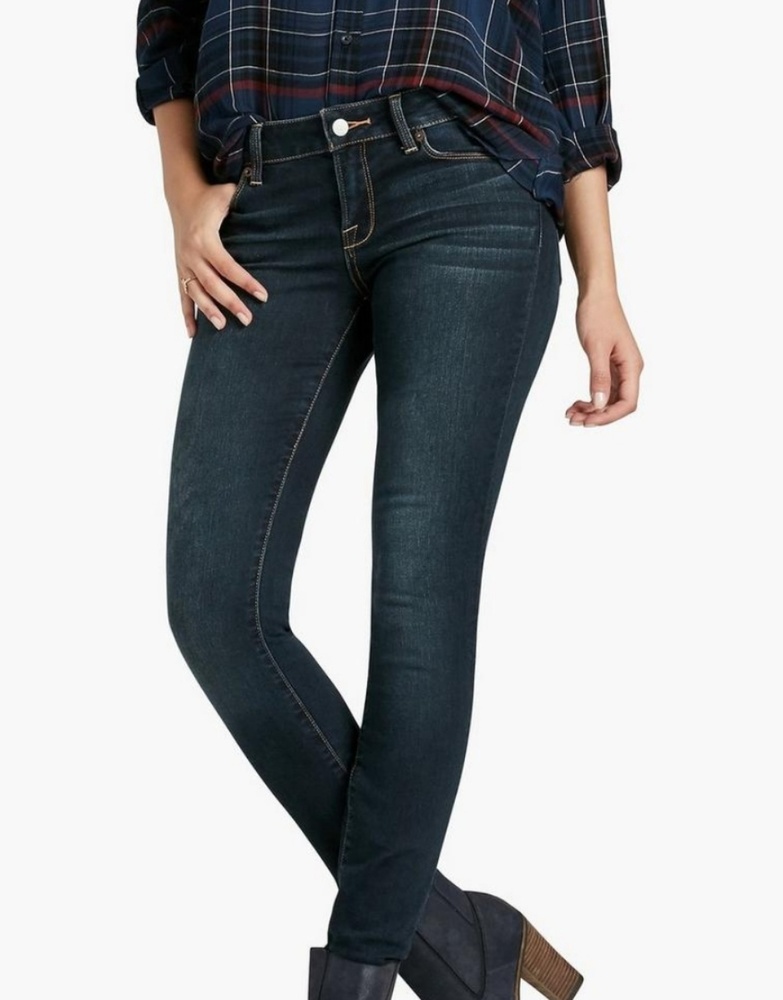 Lucky Brand Leyla Skinny Dark Wash Jeans 25R